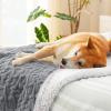 imageBedsure Waterproof Dog Blankets for Medium Dogs  Pet Blanket for Couch Protector Washable Premium Jacquard Coral Fleece Cat Throw Blanket Soft Plush Reversible Furniture Protection30quotx40quot TaupeGrey