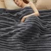 imageBedsure White Throw Fleece Blanket for Couch  Super GentleSoft Cozy Blankets for Women Cute Small Throws for Girls 50x60 Inches Wider Striped DesignDark Grey