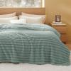imageBedsure White Throw Fleece Blanket for Couch  Super GentleSoft Cozy Blankets for Women Cute Small Throws for Girls 50x60 Inches Wider Striped DesignJadeite