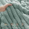 imageBedsure White Throw Fleece Blanket for Couch  Super GentleSoft Cozy Blankets for Women Cute Small Throws for Girls 50x60 Inches Wider Striped DesignJadeite