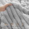 imageBedsure White Throw Fleece Blanket for Couch  Super GentleSoft Cozy Blankets for Women Cute Small Throws for Girls 50x60 Inches Wider Striped DesignLight Grey