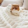 imageBedsure White Throw Fleece Blanket for Couch  Super GentleSoft Cozy Blankets for Women Cute Small Throws for Girls 50x60 Inches Wider Striped DesignWhite