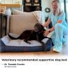imageBedsure XL Orthopedic Dog Beds Large Sized Dog  Extra Thick Supportive Dogs Couch with Waterproof Washable Cover Extra Large Comfort Pet Bed Sofa with Soft Plush Sherpa and Nonskid Bottom Grey 42quotNavy