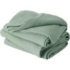 00 - Sage Green