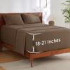 09 - Light Brown