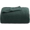 03 - Dark Green