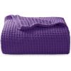 08 - Purple