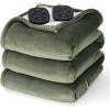 03 - Olive Green