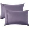 10 - Grayish Purple