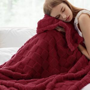 imageBedsure GentleSoft Sage Green Throw Blanket for Couch  Checkered Fleece Blankets Gifts for Women Men Girls Cute Soft Cozy Throw for Bedroom Home Decor Gifts 50x60 InchesRed