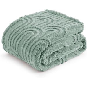 imageBedsure GentleSoft Throw Blanket for Couch  Soft Cozy Fall Blanket Gifts for Women Teen Girls Fuzzy Fluffy Fleece Throw Boho Home Room Fall Decor Aesthetic Halloween Christmas White 50x60 InchesSage Green