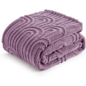 imageBedsure GentleSoft Throw Blanket for Couch  Soft Cozy Fall Blanket Gifts for Women Teen Girls Fuzzy Fluffy Fleece Throw Boho Home Room Fall Decor Aesthetic Halloween Christmas White 50x60 InchesPurple