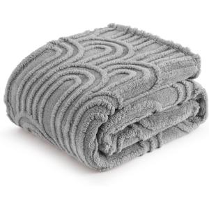 imageBedsure GentleSoft Throw Blanket for Couch  Soft Cozy Fall Blanket Gifts for Women Teen Girls Fuzzy Fluffy Fleece Throw Boho Home Room Fall Decor Aesthetic Halloween Christmas White 50x60 InchesLight Grey