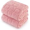 imageBedsure Dog Blanket for Small Dogs Washable  Fluffy Fuzzy Puppy Cat Blanket with Premium 300GSM Coral Fleece Soft for Pet Kitten Doggy Green 25x35INPcs2 Pink Heart