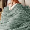 imageBedsure Faux Fur Throw Blanket  Ultra GentleSoft ampamp Fluffy Fuzzy Luxury Throw Blanket for Couch Sofa and Bed Thick and Warm for Winter Cozy Striped Decorative Gift for Women Purple 50x70 Inches04  Green