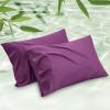 20 - Dark Purple