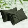 16 - Olive Green