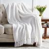 imageBedsure Sage Green Throw Blanket for Couch  Versatile Knit Woven Chenille Blanket for Chair Super Soft Warm ampamp Decorative Blanket with Tassels for Bed Sofa and Living Room Sage Green Throw02  White