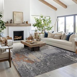 imageBedsure 5x7 Area Rugs for Living Room Machine Washable Rugs NonSlip Backing NonShedding Vintage Low Pile Easy Care Throw Carpet for Bedroom Dining Room Grey08  Birch