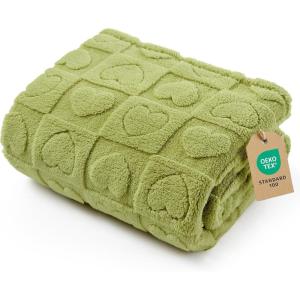 imageBedsure Dog Blanket for Small Dogs Washable  Fluffy Fuzzy Puppy Cat Blanket with Premium 300GSM Coral Fleece Soft for Pet Kitten Doggy Green 25x35INLint Heart