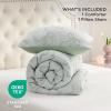 imageBedsure Queen Size Comforter Set  Beige Tufted Boho Bed Set Farmhouse Shabby Chic Embroidery Bedding for All Seasons 3 Pieces 1 Soft Jacquard Queen Comforter and 2 Pillow Shams07  Sage Green  Bow