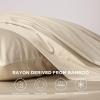 imageBedsure GentleSoft Queen Sheet Set Rayon Derived from Bamboo Cooling Sheets Breathable ampamp Soft Deep Pocket Up to 16 Inches Hotel Luxury Silky Bedding for Hot Sleepers Grey03  Beige