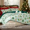 imageBedsure Floral Quilt Set Queen  Reversible Olive Green Botanical Quilt Bedding Set 3 Pieces Lightweight Bedspread Soft Microfiber Coverlet with 2 Pillow Shams for All Seasons 90quotx96quot27  Christmas Reindeer