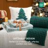 imageBedsure Christmas Duvet Cover Queen  Christmas Bedding Set Reversible Buffalo Check Printed Plaid Duvet Cover 3 Pieces Bedding Set with 2 Pillow Shams Queen Snowflake and Reindeer09  Green Forest No Comforter