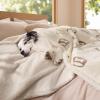 imageBedsure Waterproof Blanket for Bed  Soft Print Sherpa Fleece Pet Cat Dog Blankets for Large Dogs Couch Protection Soft Plush Reversible Furniture Protector Twin Size 60quotx80quot Smokey GreyBeige