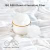 imageBedsure Duvet Insert Lightweight Comforter Quilted Cooling Duvet Insert Ultra Soft Down Alternative Comforter with Corner Tabs Queen Light Grey88x88White