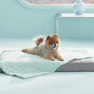 imageBedsure Premium Cooling Blanket for Large Dog  QMAXgt05 Breathable Summer Washable Cold Pet Mat Soft Durable Self Cooling Dog Mat for Hot Weather Turquoise Green 40x50Turquoise Green