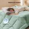 imageBedsure Comforter Duvet Insert  Quilted Comforters Queen Size All Season Duvet GentleSoft Down Alternative Bedding with 8 Tabs Gifts for WomenMen White Queen 88 x 88 InchesSage Green