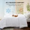 imageBedsure Comforter Duvet Insert  Quilted Comforters Queen Size All Season Duvet GentleSoft Down Alternative Bedding with 8 Tabs Gifts for WomenMen White Queen 88 x 88 InchesWhite