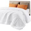 imageBedsure Comforter Duvet Insert  Quilted Comforters Queen Size All Season Duvet GentleSoft Down Alternative Bedding with 8 Tabs Gifts for WomenMen White Queen 88 x 88 InchesWhite