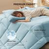 imageBedsure Comforter Duvet Insert  Quilted Comforters Queen Size All Season Duvet GentleSoft Down Alternative Bedding with 8 Tabs Gifts for WomenMen White Queen 88 x 88 InchesLight Spa Blue