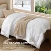 imageBedsure Comforter Duvet Insert  Quilted Comforters Queen Size All Season Duvet GentleSoft Down Alternative Bedding with 8 Tabs Gifts for WomenMen White Queen 88 x 88 InchesWhite
