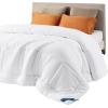 imageBedsure Comforter Duvet Insert  Quilted Comforters Queen Size All Season Duvet GentleSoft Down Alternative Bedding with 8 Tabs Gifts for WomenMen White Queen 88 x 88 InchesWhite