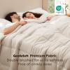 imageBedsure Comforter Duvet Insert  Quilted Comforters Queen Size All Season Duvet GentleSoft Down Alternative Bedding with 8 Tabs Gifts for WomenMen White Queen 88 x 88 InchesLinen