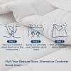 imageBedsure Comforter Duvet Insert  Quilted Comforters Queen Size All Season Duvet GentleSoft Down Alternative Bedding with 8 Tabs Gifts for WomenMen White Queen 88 x 88 InchesLight Grey
