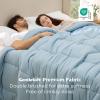imageBedsure Comforter Duvet Insert  Quilted Comforters Queen Size All Season Duvet GentleSoft Down Alternative Bedding with 8 Tabs Gifts for WomenMen White Queen 88 x 88 InchesLight Spa Blue