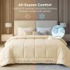 imageBedsure Comforter Duvet Insert  Quilted Comforters Queen Size All Season Duvet GentleSoft Down Alternative Bedding with 8 Tabs Gifts for WomenMen White Queen 88 x 88 InchesCream