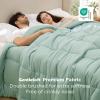 imageBedsure Comforter Duvet Insert  Quilted Comforters Queen Size All Season Duvet GentleSoft Down Alternative Bedding with 8 Tabs Gifts for WomenMen White Queen 88 x 88 InchesSage Green