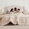 imageBedsure Comforter Duvet Insert  Quilted Comforters Queen Size All Season Duvet GentleSoft Down Alternative Bedding with 8 Tabs Gifts for WomenMen White Queen 88 x 88 InchesLinen