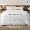 imageBedsure Removable Cover with Comforter Duvet Insert Queen  4 Pieces White Prewashed Soft Bedding Set for All Seasons Use Includes 1 Duvet Cover 1 Comforter 2 Pillow ShamsWhite