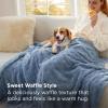 imageBedsure Waffle Couch Throw Blanket  GentleSoft Fleece Cozy Blanket for Sofa Bed Room Decor Super Fluffy Checkered Throw for Women Girls Warm Cute All Season Gift Tan 50x60 InchesAshley Blue
