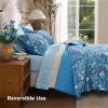 imageBedsure Floral Quilt Queen Size  Reversible Blue Floral Comforter Queen Size Spring amp Summer Lightweight Bedspread Quilted Bedding Soft Microfiber Coverlet for All Seasons 90x96  Lightweight Summer Reversible Ultra Soft Floral02  Blue Botanical