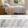 imageBedsure Green Bedspreads Queen Size  Ultra Soft PreWashed CloudLike Quilt Set Bedding Summer Queen Size Quilt Breathable amp Cozy Coverlets for All Season with 2 Matching Shams 90x96 Inches02  Light Grey