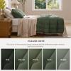 imageBedsure Green Bedspreads Queen Size  Ultra Soft PreWashed CloudLike Quilt Set Bedding Summer Queen Size Quilt Breathable amp Cozy Coverlets for All Season with 2 Matching Shams 90x96 Inches01  Olive Green