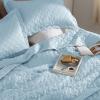 imageBedsure Quilts Queen Size  Lightweight Bedspreads Queen Size with Classic Honeycomb Quilting Soft Quilt Bedding Set Taupe Comforter Set Coverlet for All Seasons with 2 Pillow Shams 90 x 96  SkinFriendly Soft AllSeason Comfort Breathable Lightweight Machine Washable25  Sky Blue