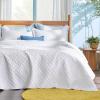 imageBedsure Quilts Queen Size  Lightweight Bedspreads Queen Size with Classic Honeycomb Quilting Soft Quilt Bedding Set Taupe Comforter Set Coverlet for All Seasons with 2 Pillow Shams 90 x 96  SkinFriendly Soft AllSeason Comfort Breathable Lightweight Machine Washable02  White